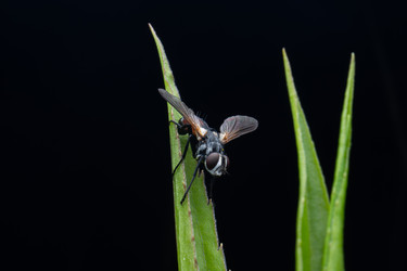 Similar image 22577545