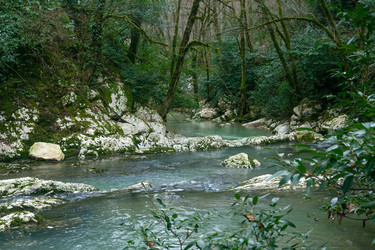 Similar image 22535081