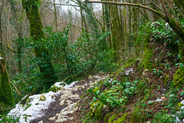 Similar image 22535082