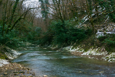 Similar image 22535083