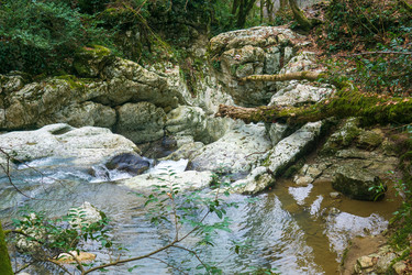 Similar image 22535076