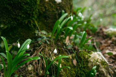 Similar image 22535077