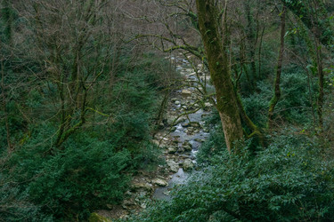 Similar image 22535078