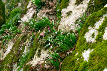 Similar image 22535084