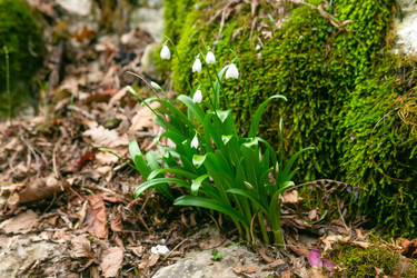 Similar image 22535087