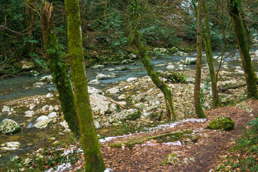 Similar image 22535089