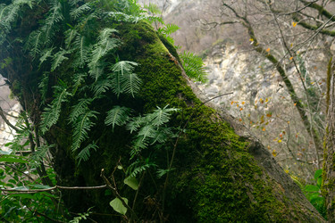 Similar image 22535090