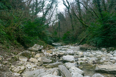 Similar image 22535092