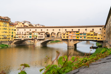 Similar image 22535564