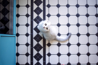 Similar image 22556262