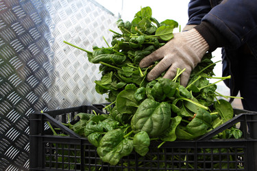 Similar image 22554386