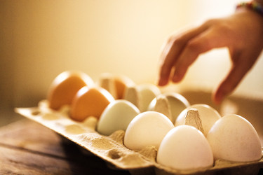 Similar image 22556173