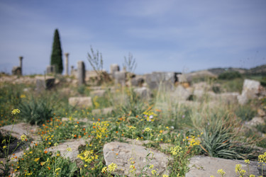 Similar image 22556174