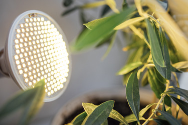 Similar image 22556183