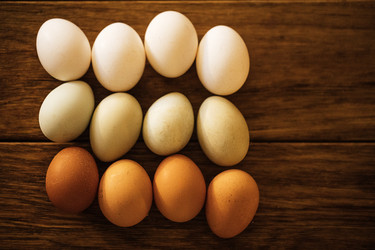 Similar image 22556185