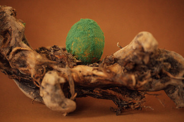 Similar image 22556187