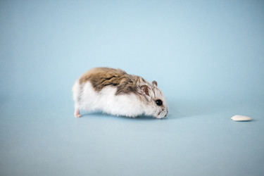 Similar image 22556201