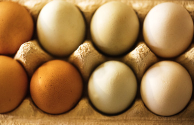 Similar image 22556203