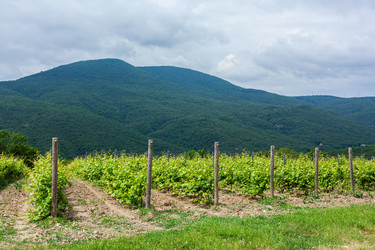 Similar image 22534606