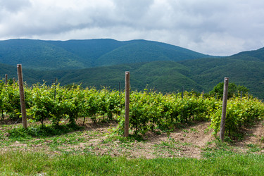 Similar image 22534607