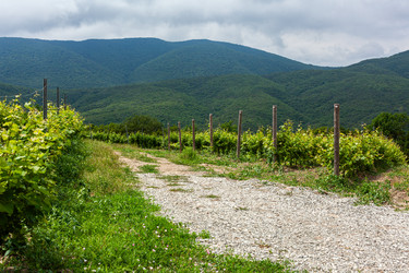 Similar image 22534610