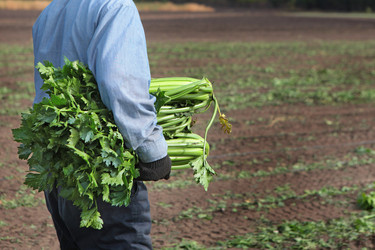 Similar image 22555922