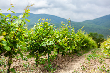 Similar image 22534612