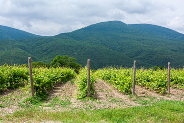 Similar image 22534613