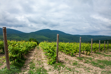 Similar image 22535156