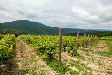 Similar image 22535158