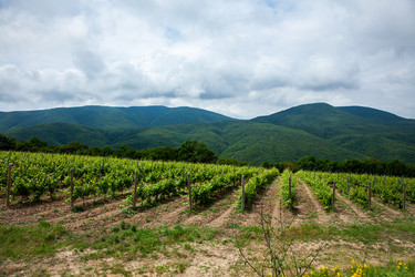 Similar image 22535159