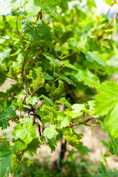 Similar image 22535171