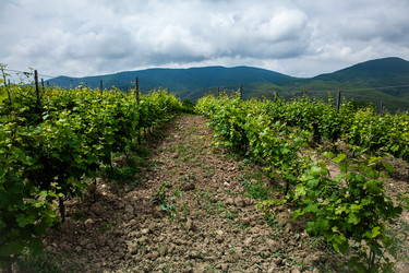 Similar image 22535173