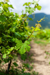 Similar image 22535174