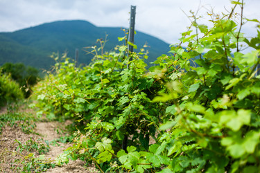 Similar image 22535176