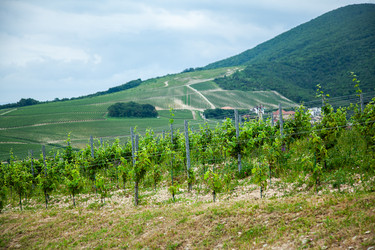 Similar image 22535177