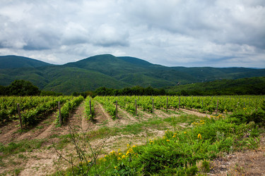 Similar image 22535178