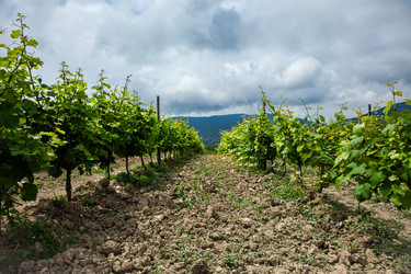 Similar image 22535179