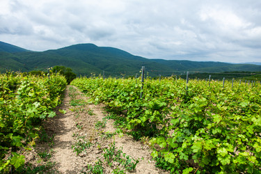 Similar image 22535180