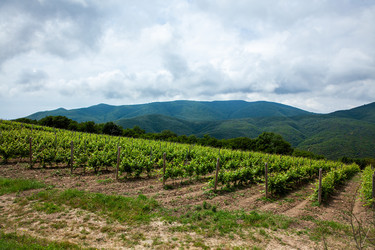 Similar image 22535197