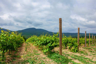 Similar image 22534615