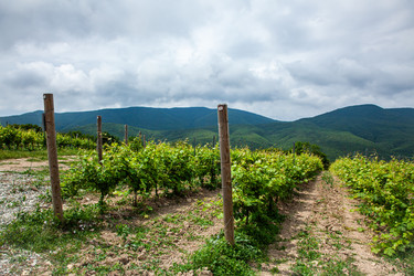 Similar image 22534617