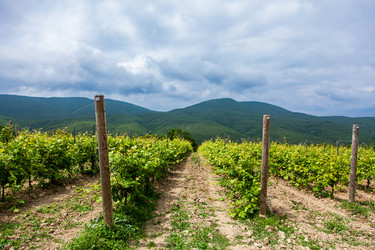 Similar image 22534618