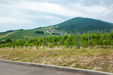 Similar image 22534619