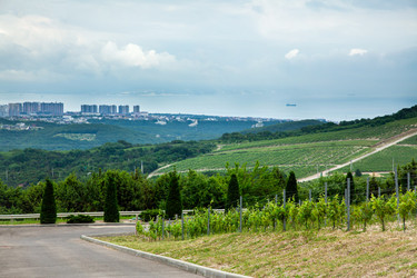 Similar image 22534620