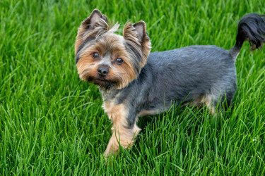 Similar image 22535147