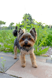 Similar image 22535148