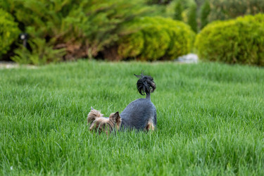 Similar image 22535149