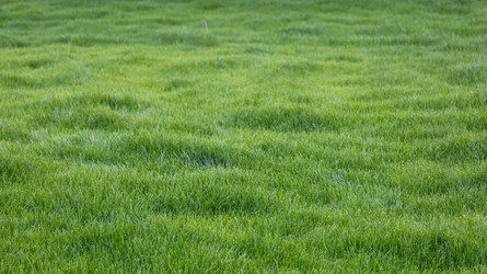 Similar image 22535161