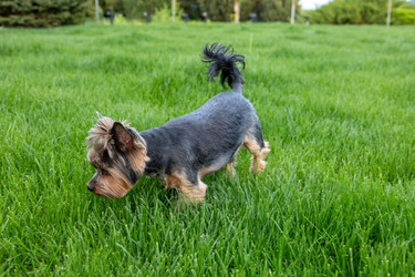 Similar image 22535162